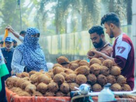 whale market activity insights